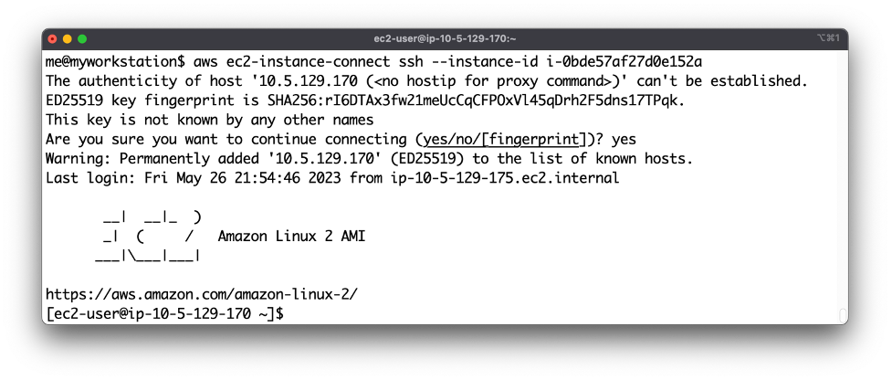 AWS CLI view upon successful SSH connection to your instance