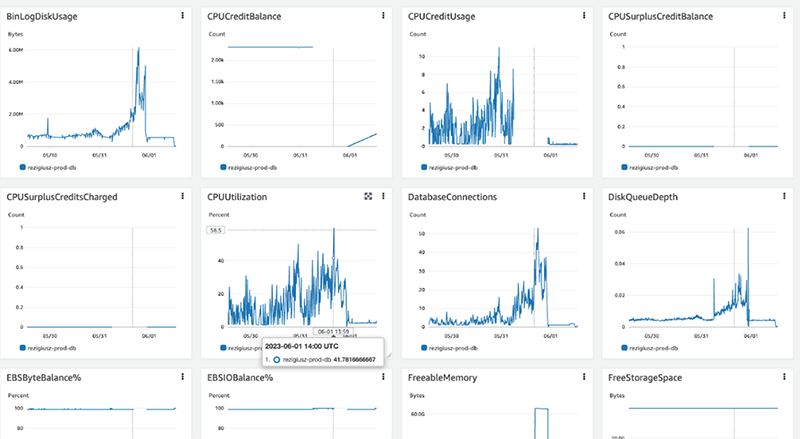 Budowa infrastruktury, ochrona anty-DDoS i całodobowa opieka administracyjna środowiska obsługującego loterię internetową Rezigiusza