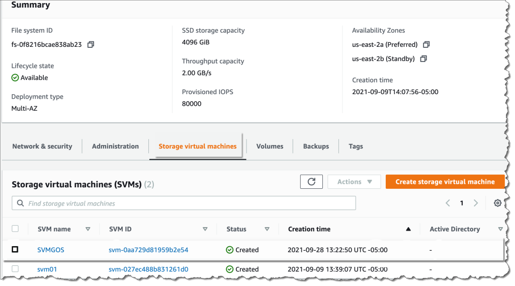 Pierwsze kroki z VMware Cloud on AWS Integration z Amazon FSx for NetApp ONTAP